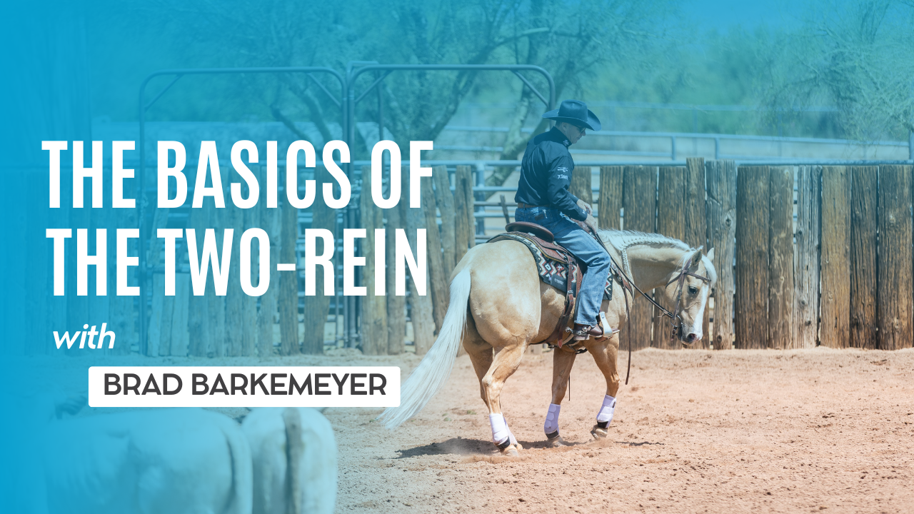 The Basics of The Two-Rein