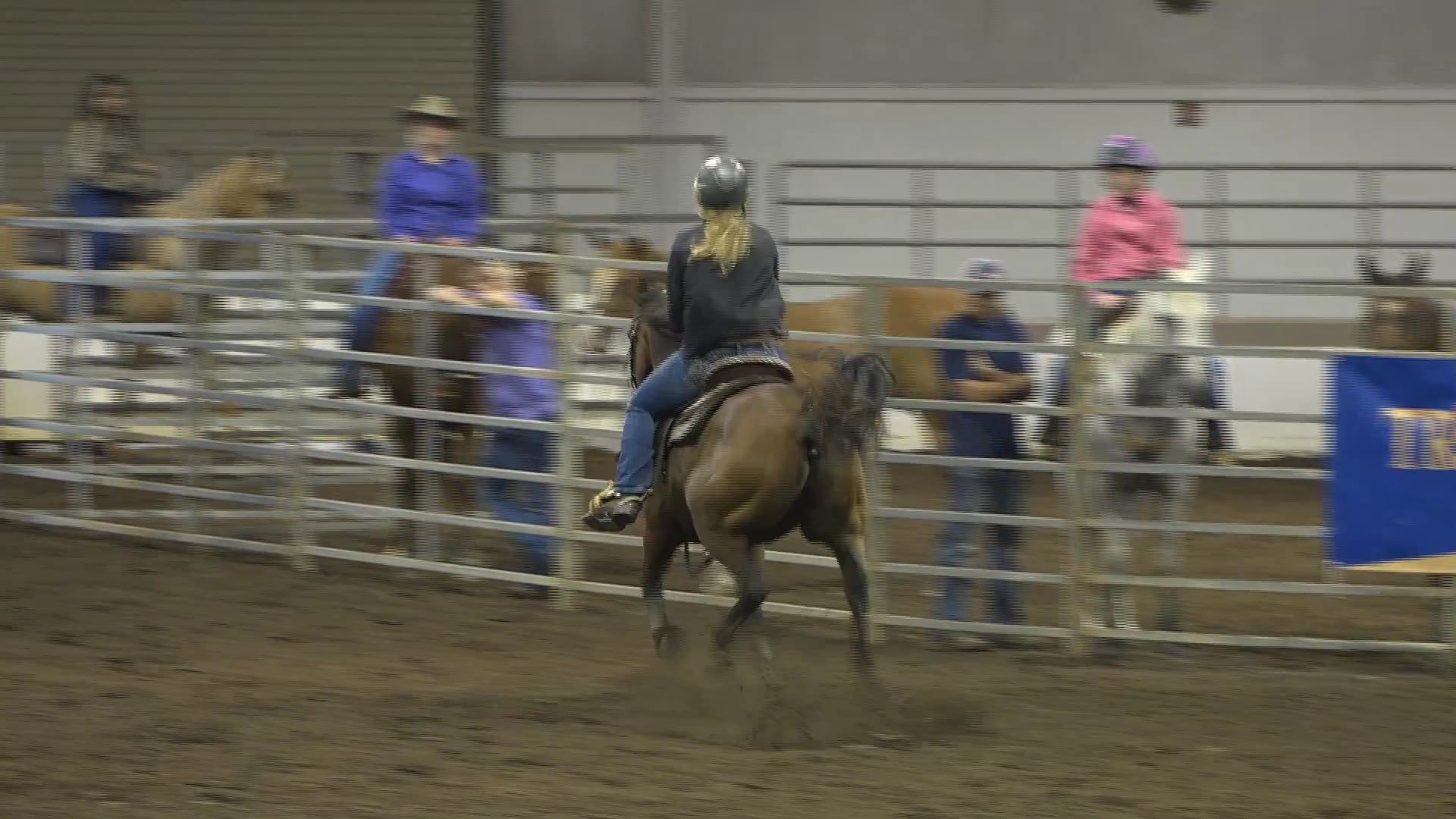 2019 NBHA GA Op1 #451-455