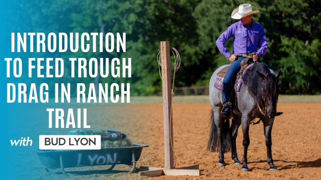 Introduction to Feed Trough Drag In Ranch Trail