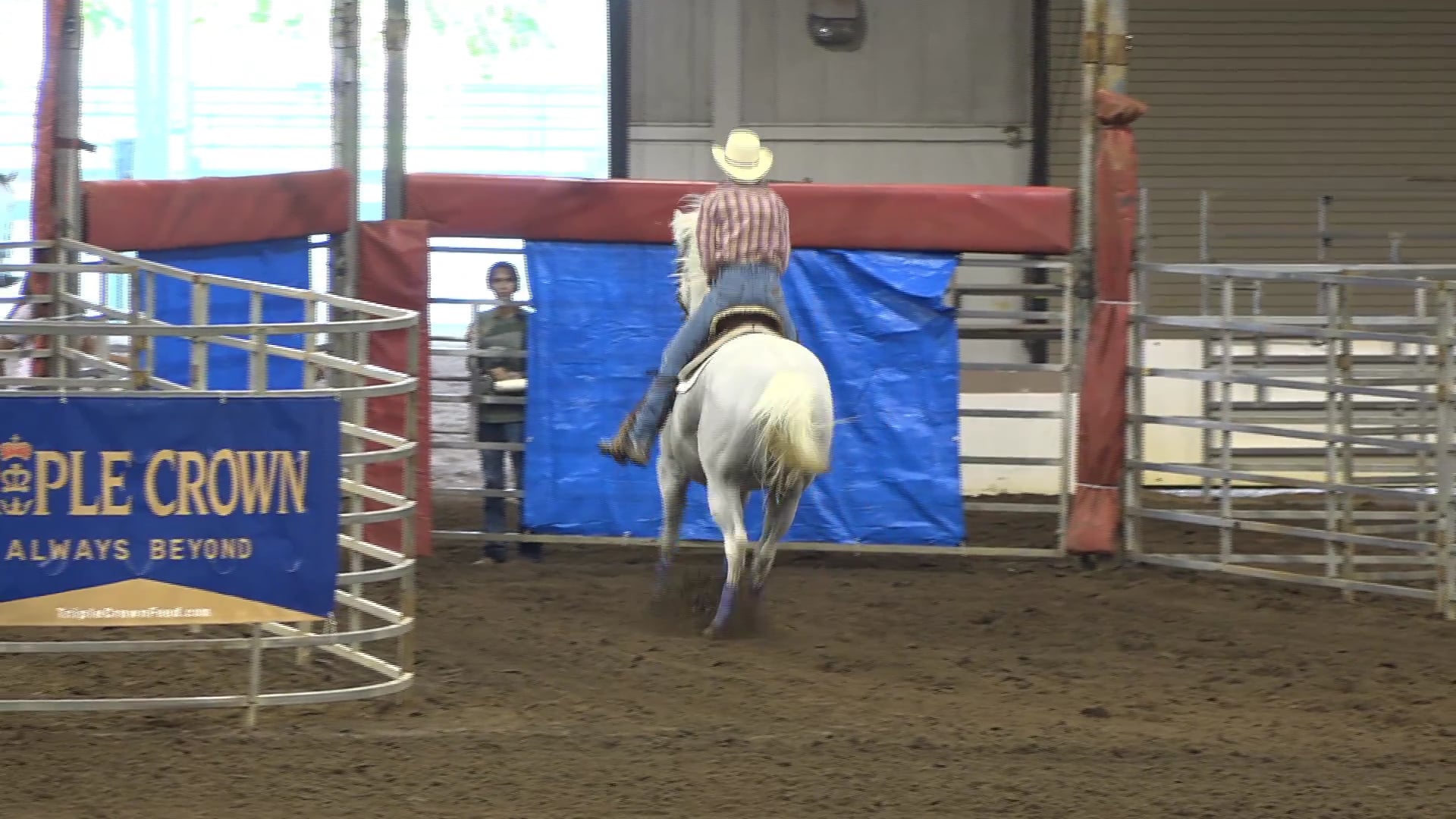 2019 NBHA GA Op1 #251-255