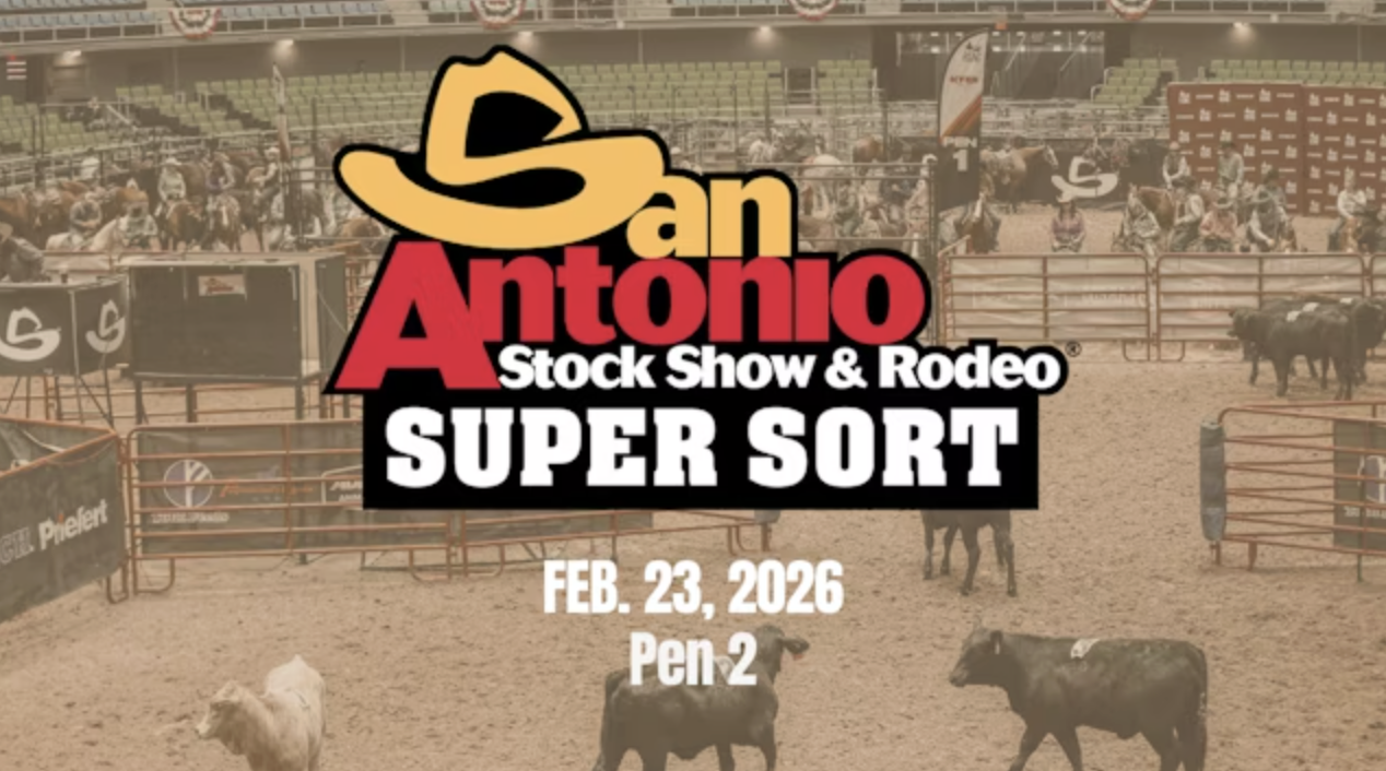 #12 HC | Cinch RSNC San Antonio Stock Show & Rodeo Super Sort | Pen 2 | 2/23/26