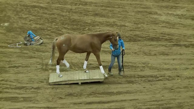 Youth Freestyle Class - Rebecca Henkel