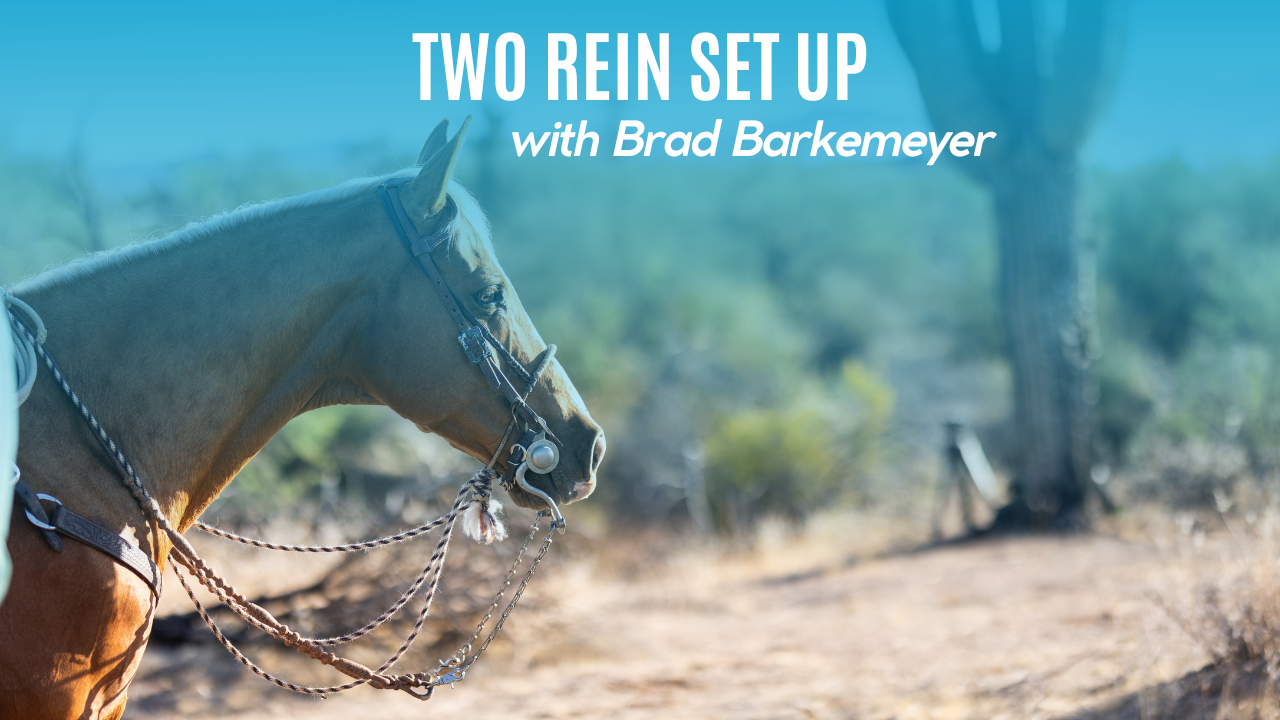 Two Rein Set Up with Brad Barkemeyer