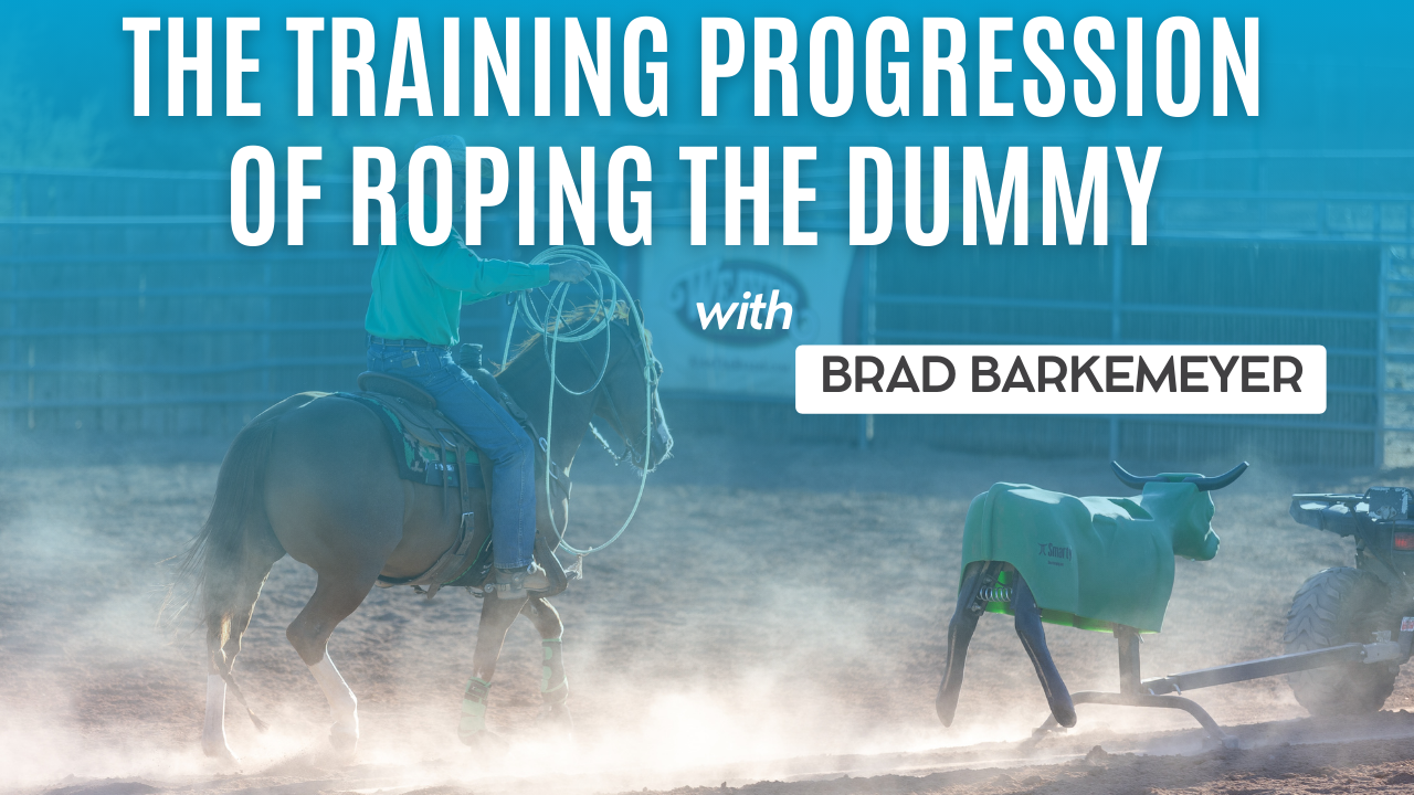 The Training Progression of Roping the Dummy