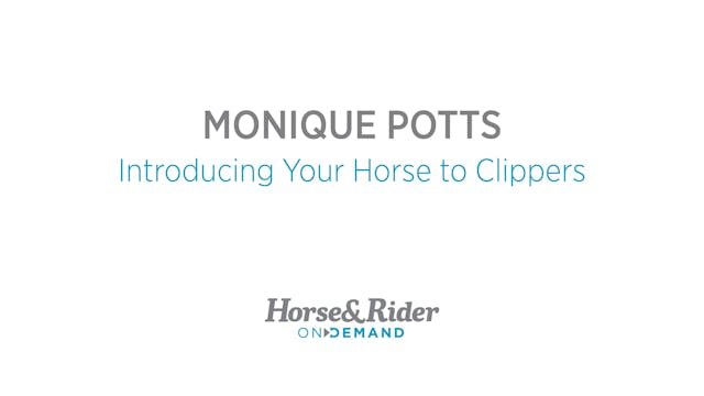 Introducing Your Horse to Clippers