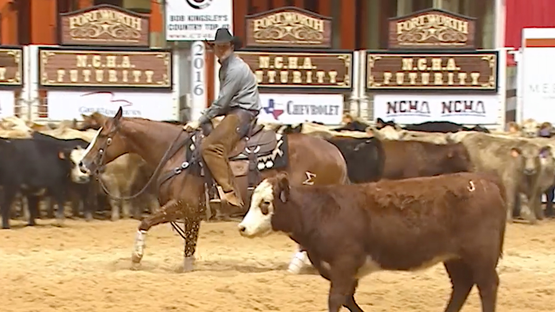 2016 NCHA World Championship Futurity