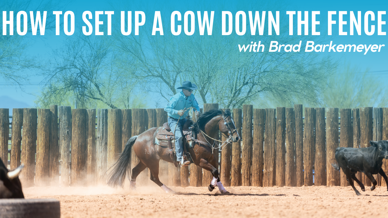 How to Set Up a Cow Down the Fence