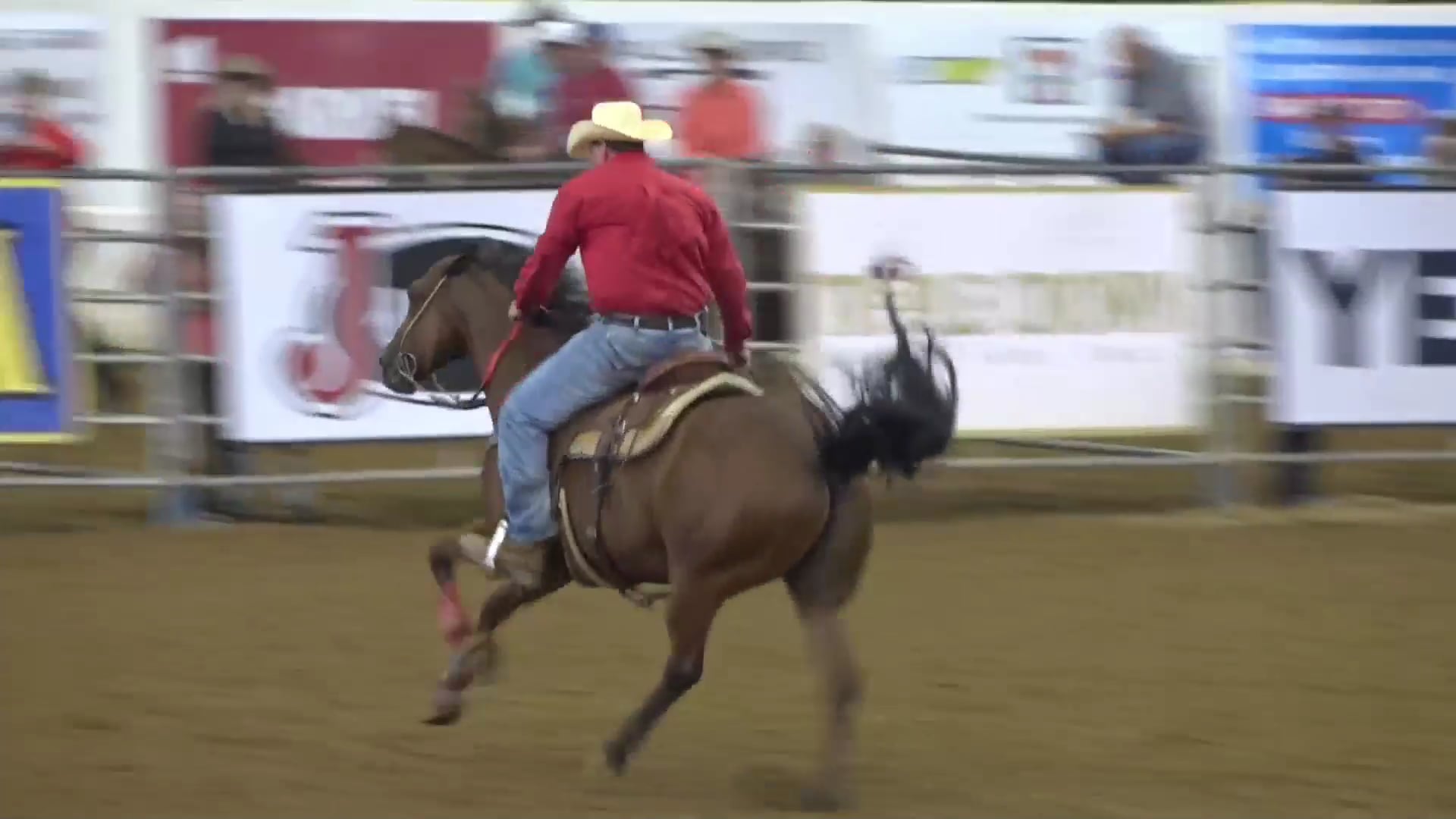 OpenRace3_Draw_221-225_NBHACSS19