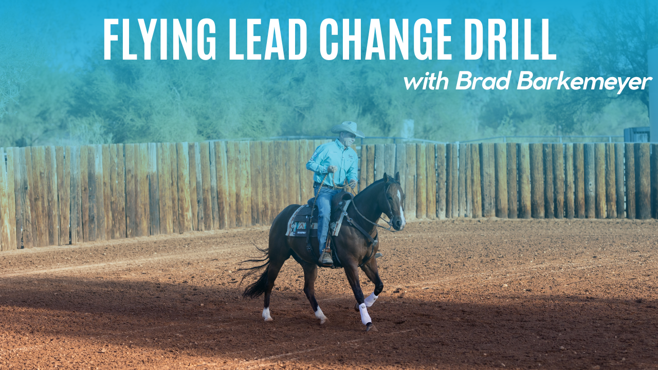 Flying Lead Change Drill