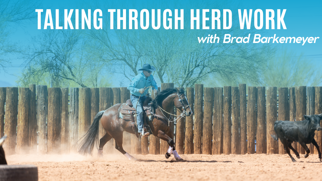 Talking Through Herd Work