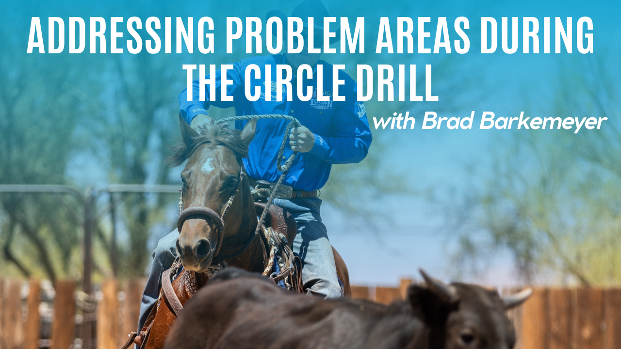 Addressing Problem Areas During the Circle Drill