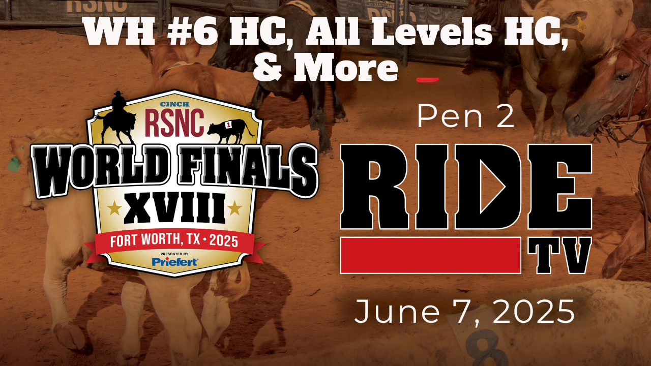 ⁠WH #6 HC, All Levels HC, & More | Ci...