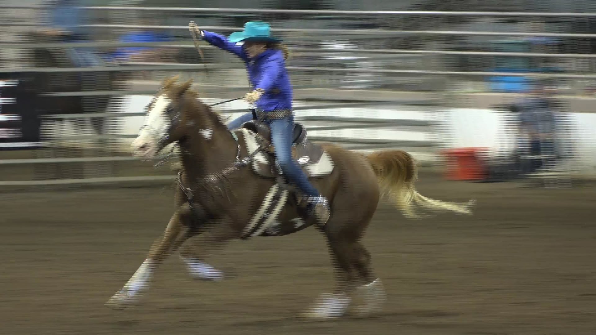 2019 NBHA GA Op2 #080-076