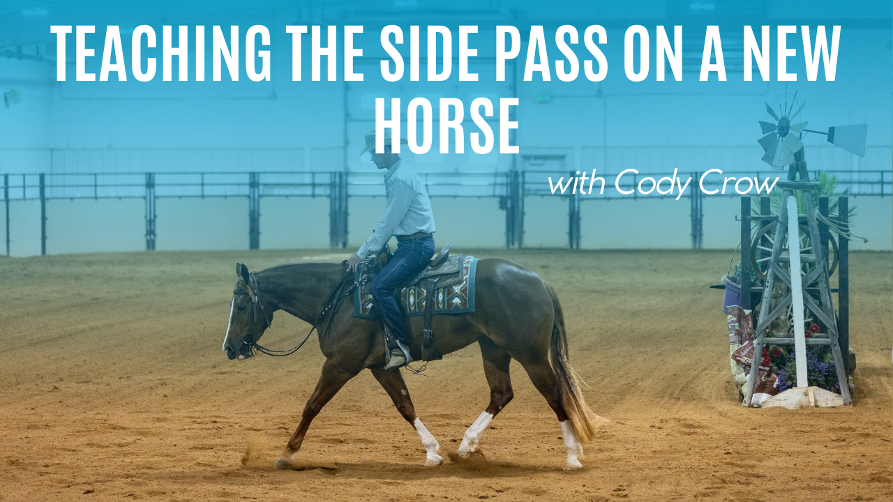 Cody Crow: Teaching the Side Pass on a New Horse