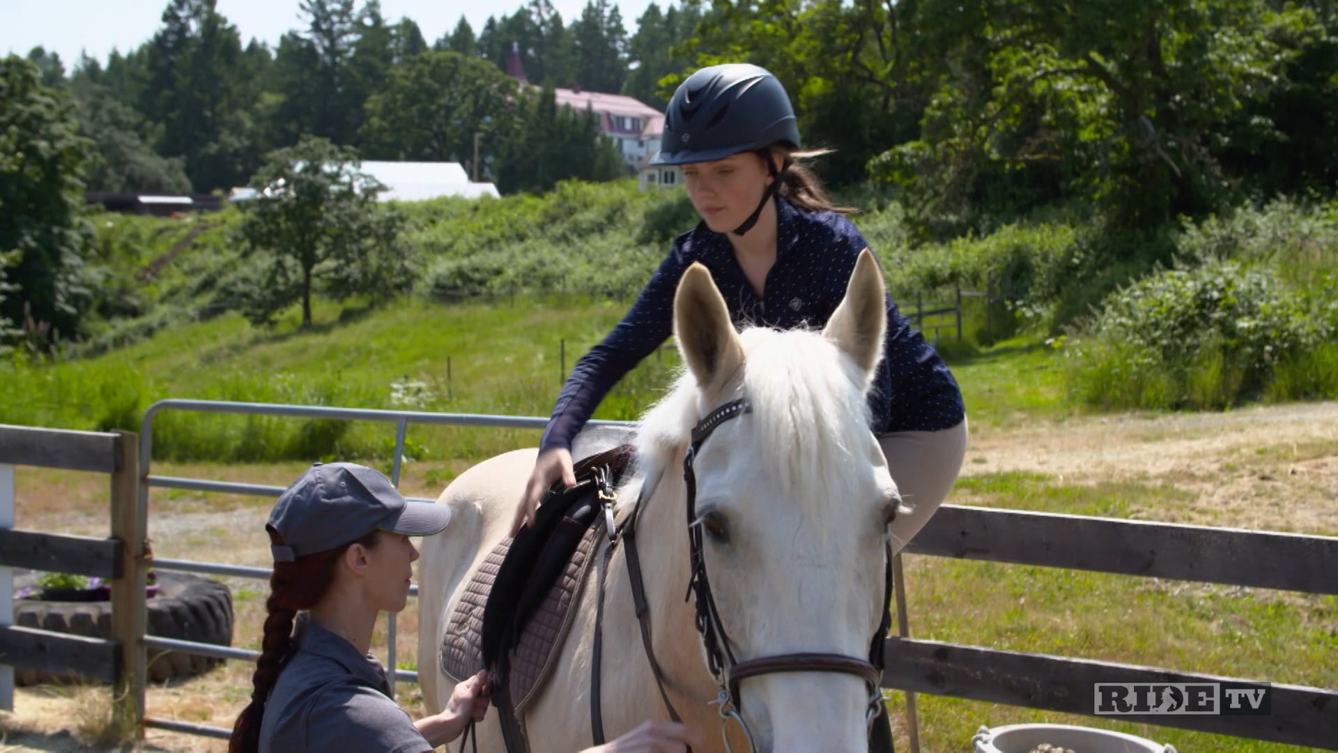 Equestrian World Shorts- CTRA