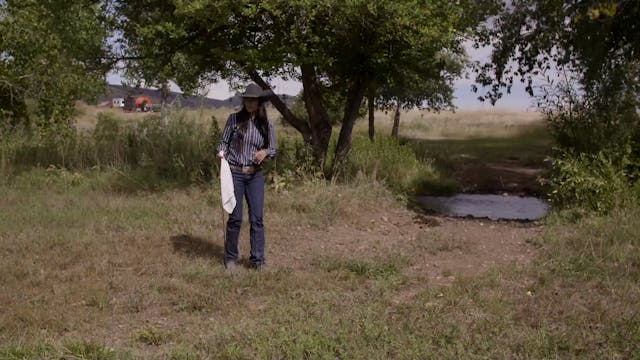 Riding a Nervous Horse Over a Water C...