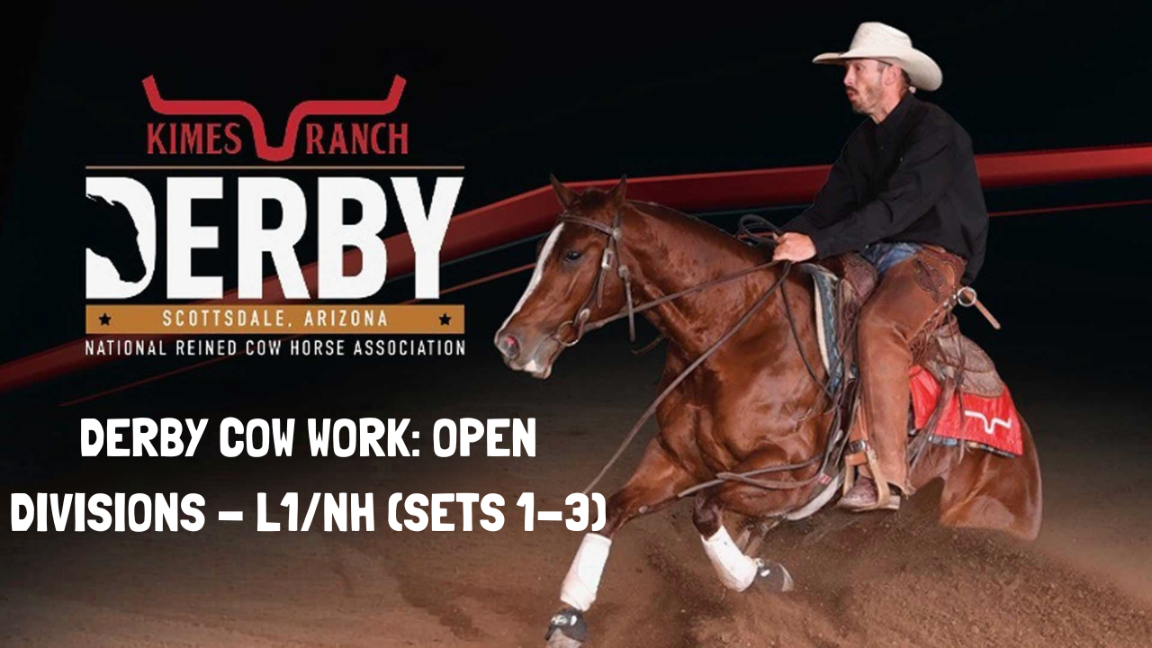 Derby Cow Work: Open Divisions - L1/NH (sets 1-3) | 2026 NRCHA Derby | Equidome