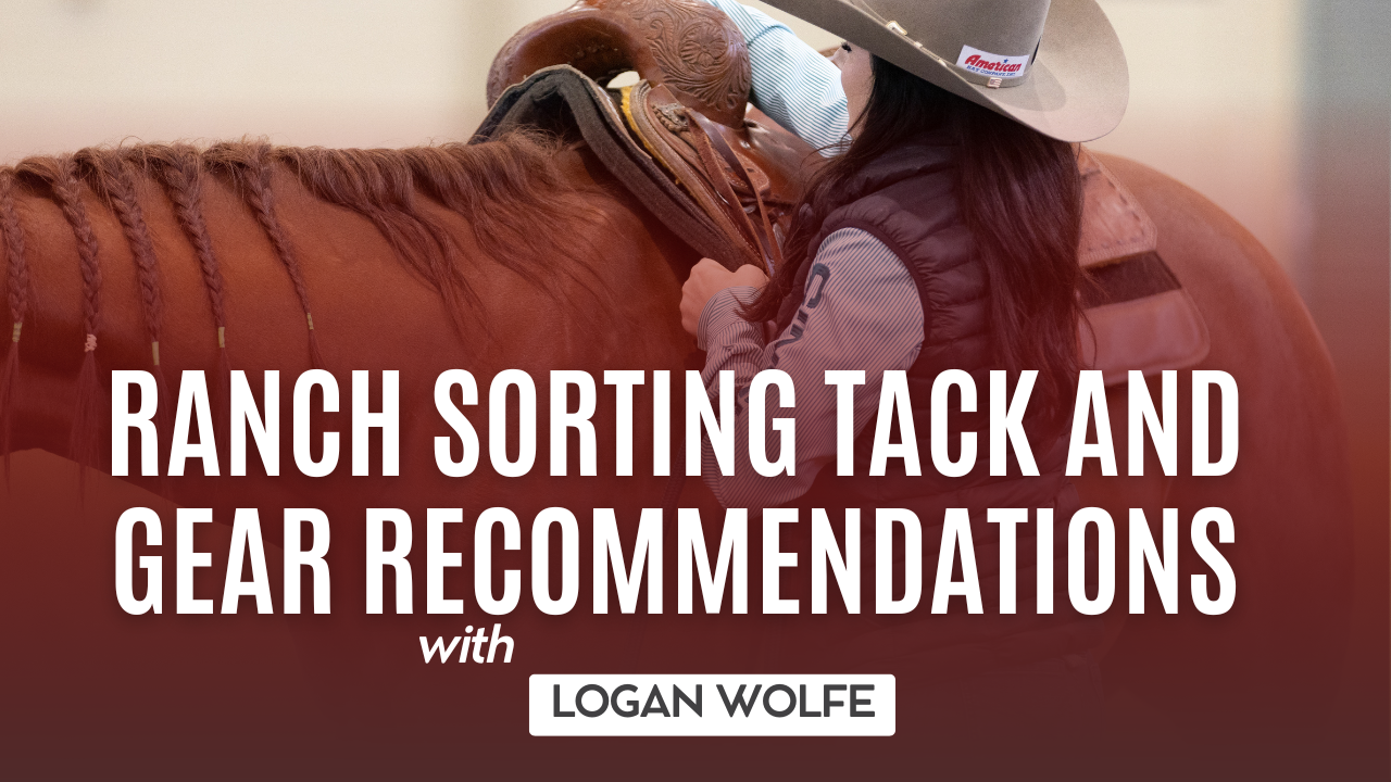Ranch Sorting Tack and Gear Recommendations