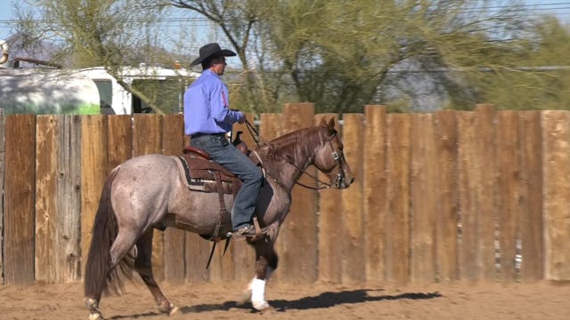 Riding a Cowy Horse