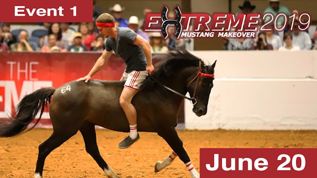 Extreme Mustang Makeover: Adult Handling & Conditioning