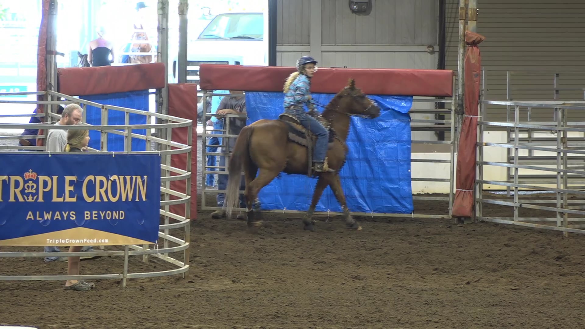 2019 NBHA GA Op1 #146-150