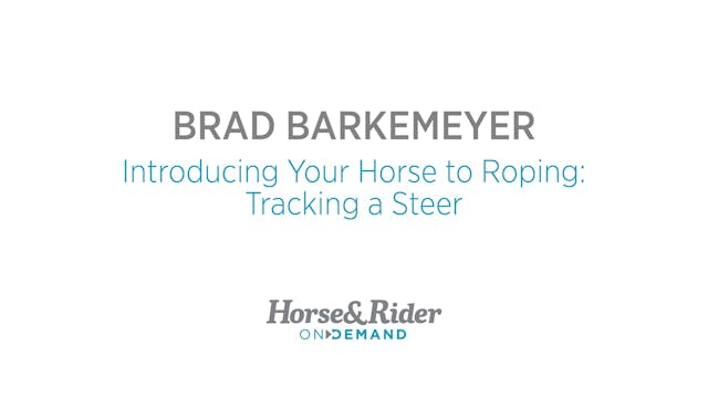 Introducing a Horse to Roping: Tracki...