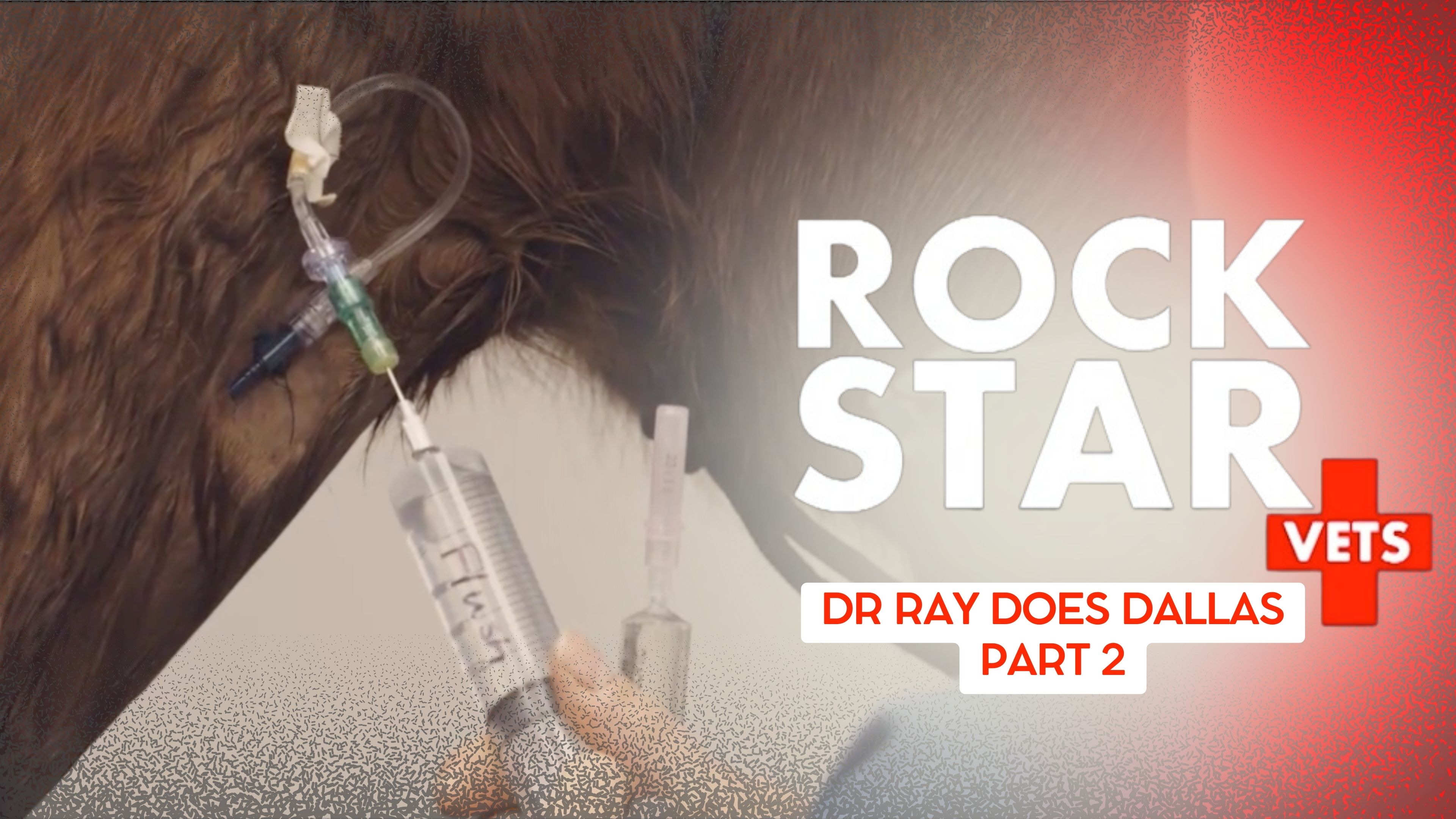 Dr. Ray Does Dallas: Part 2