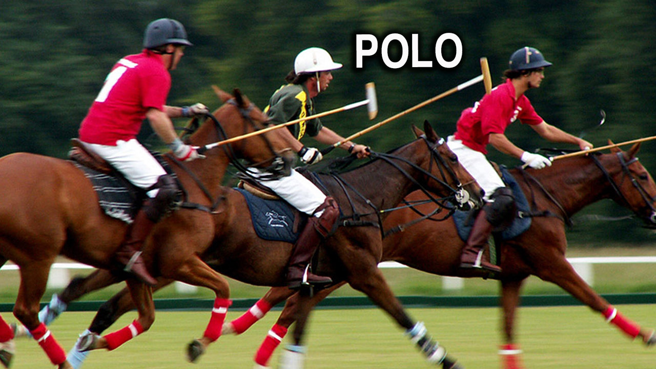 Polo