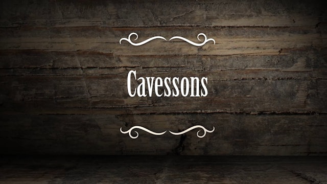 Understanding and Using Cavessons