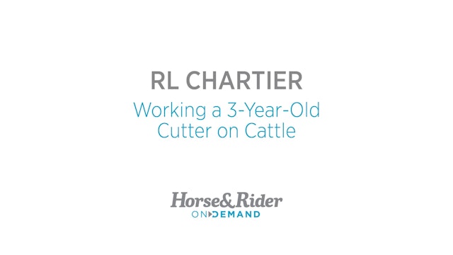Working a 3-Year-Old Cutter on Cattle