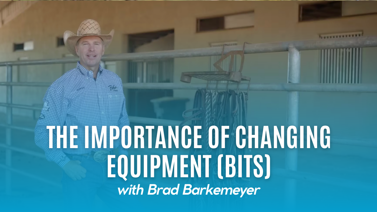 The Importance of Changing Equipment (Bits)