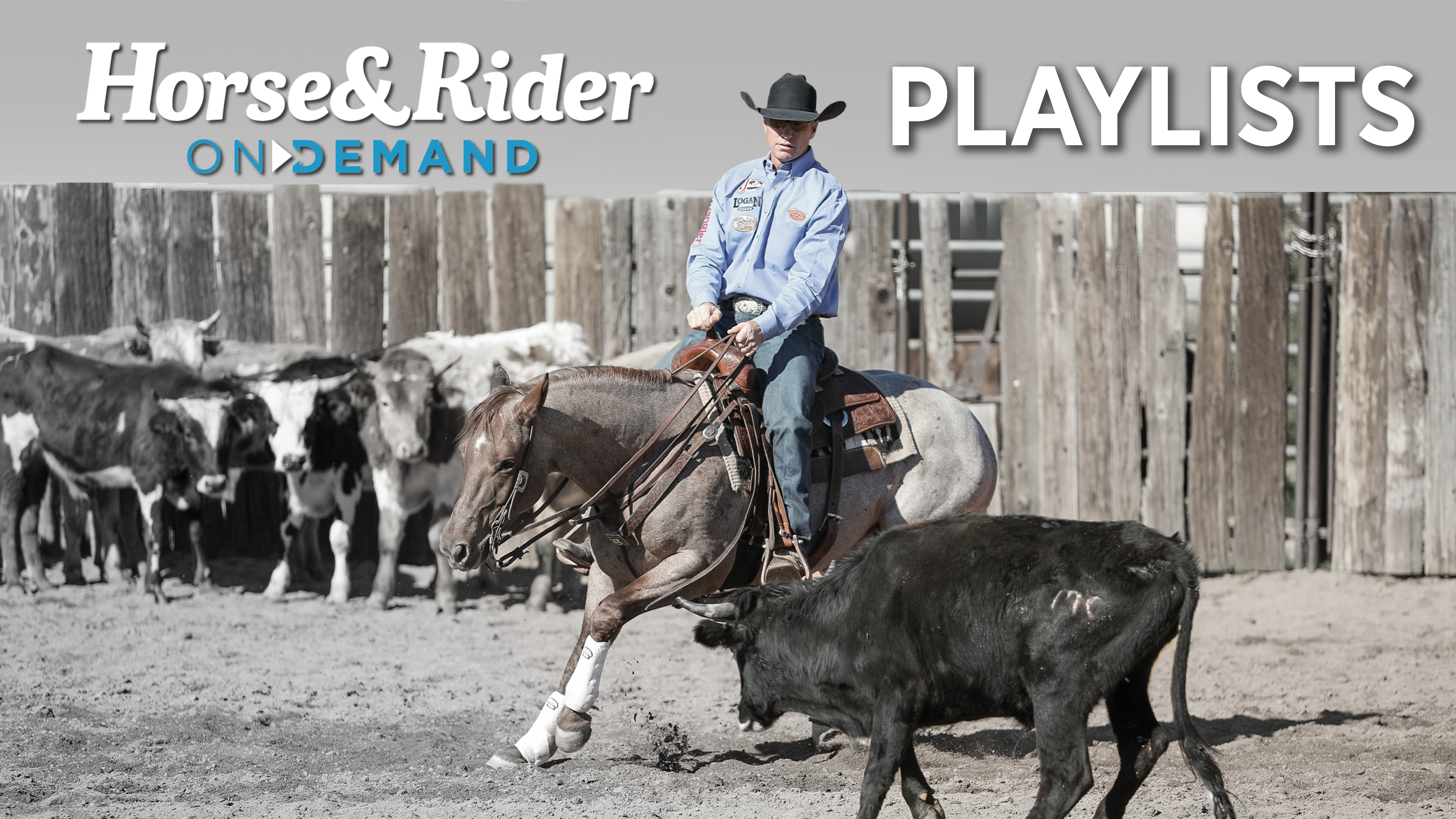 Horse&Rider OnDemand Playlists