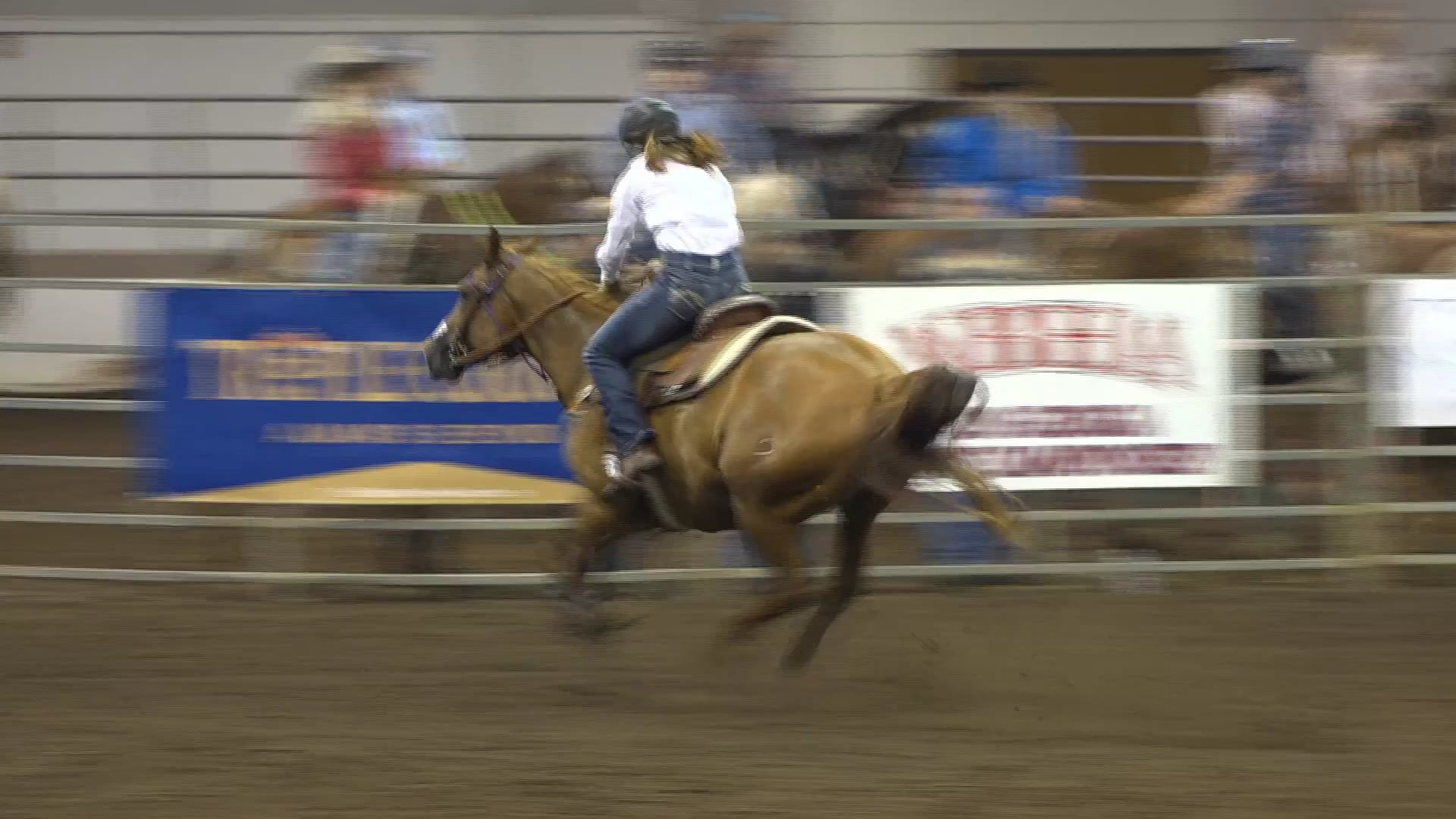 2019 NBHA GA Op2 #435-431