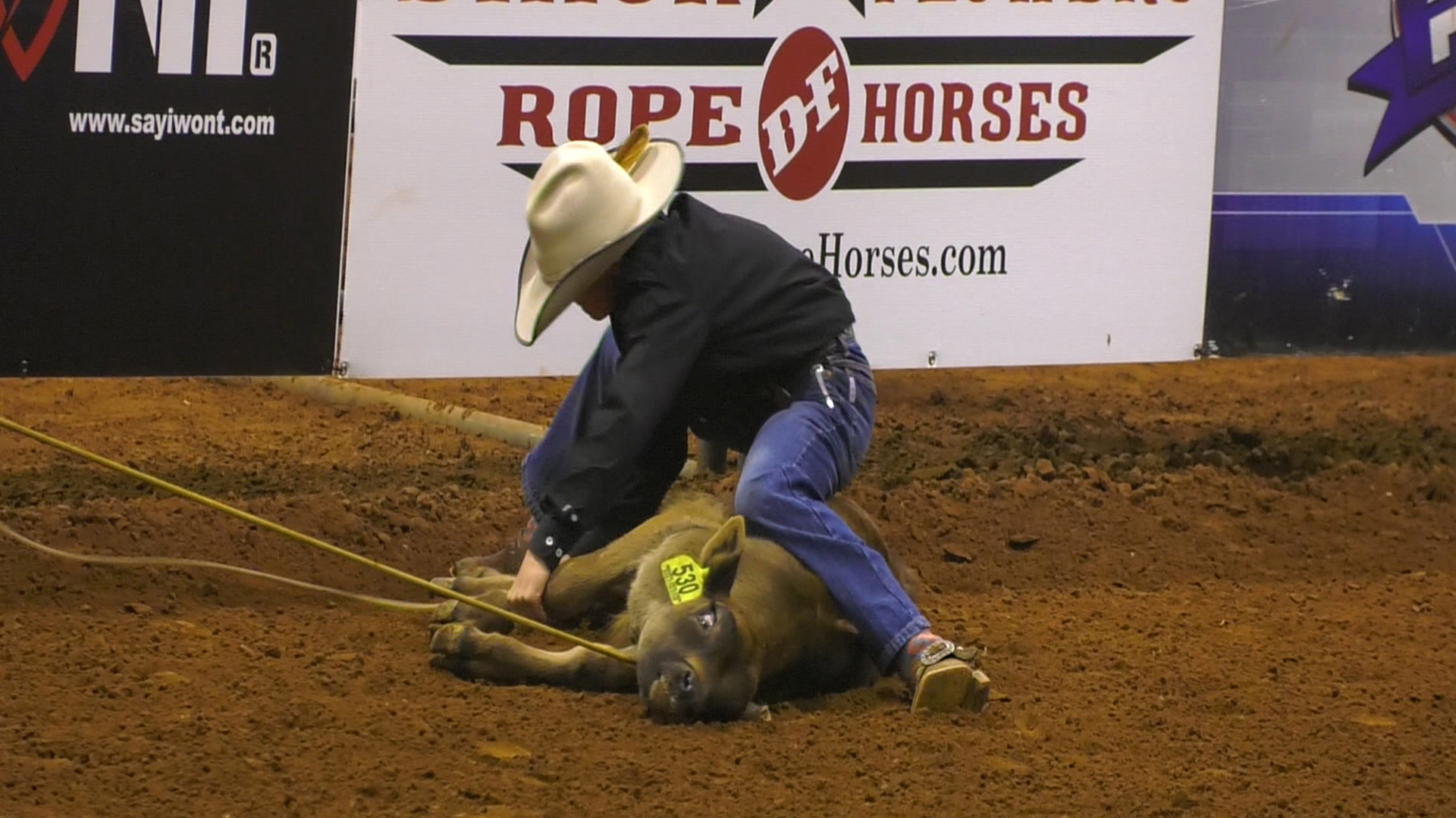 Rising Stars Calf Roping 2017