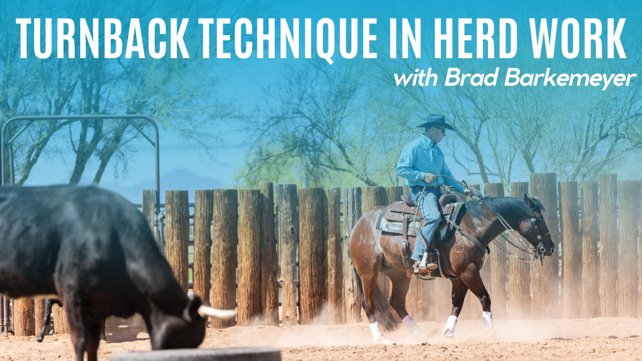 Turnback Technique in Herd Work