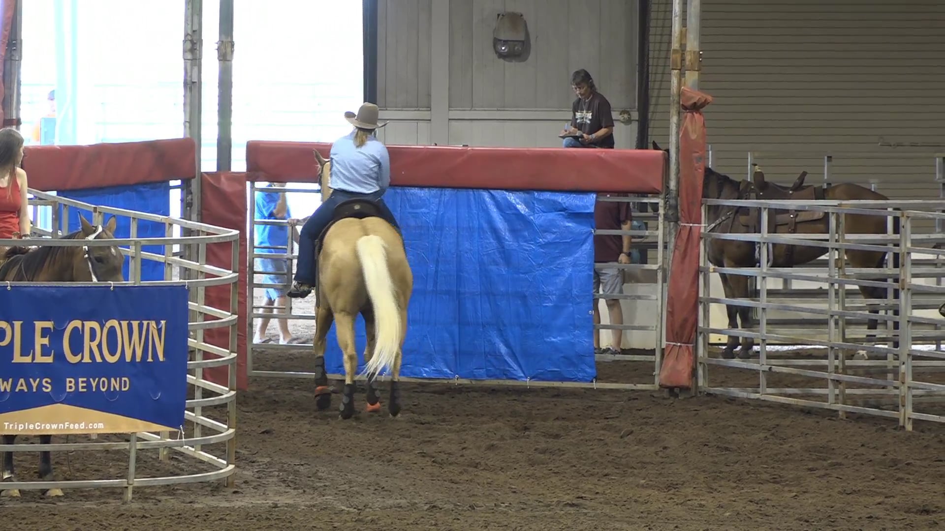 2019 NBHA GA Op1 #331-335