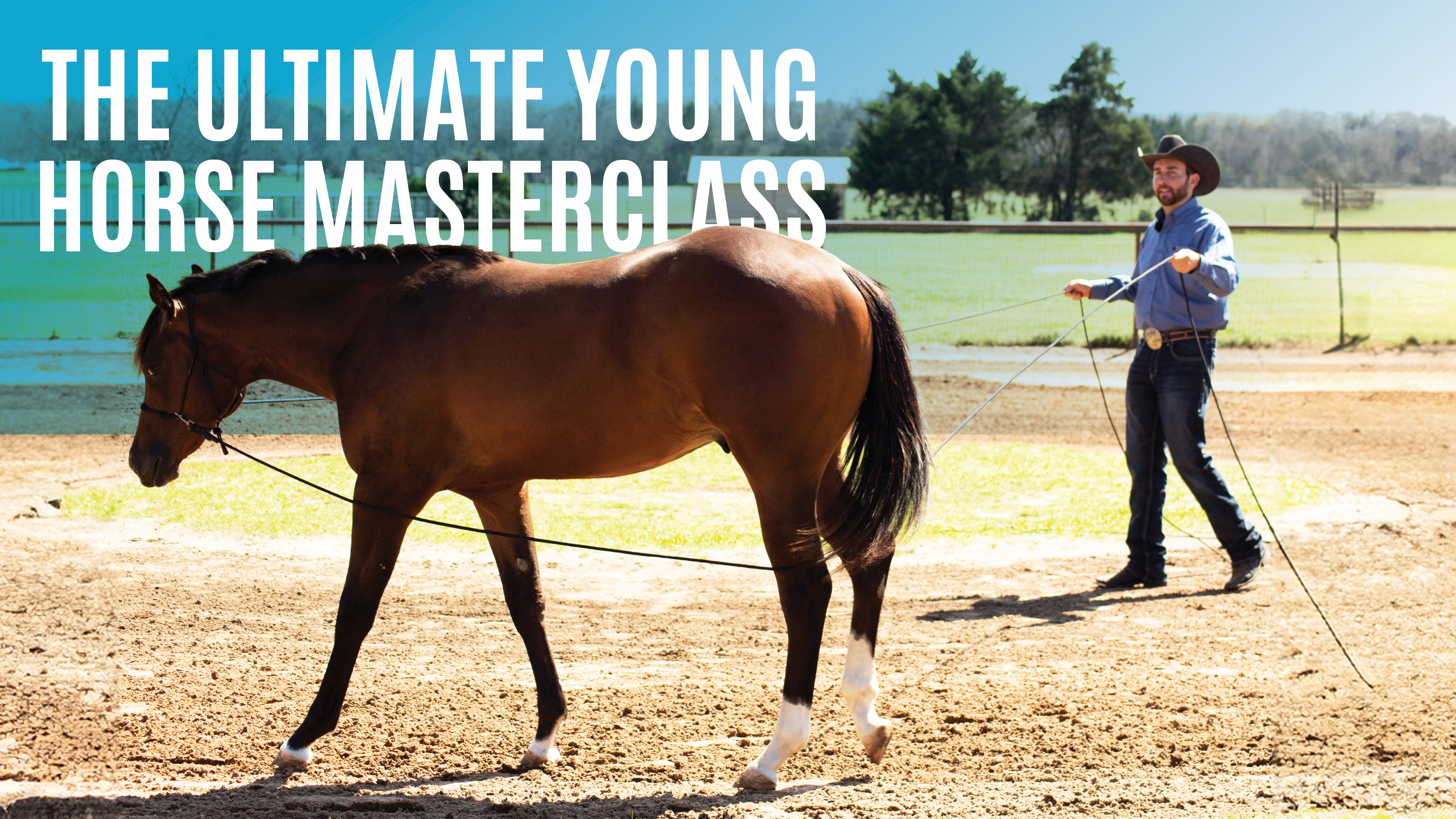 The Ultimate Young Horse Masterclass