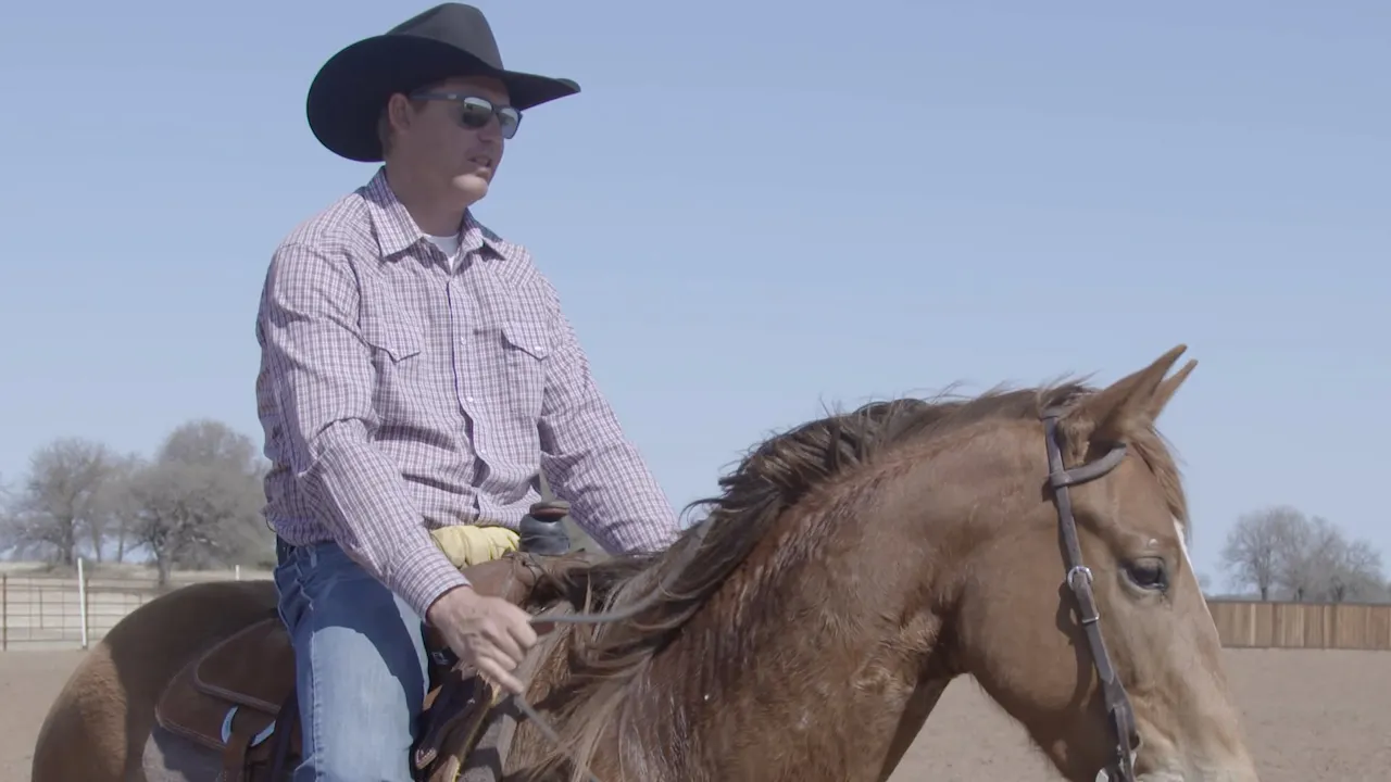 Hand Position When Riding Colts - RIDE TV