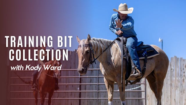 Kody Ward's Training Bit Collection