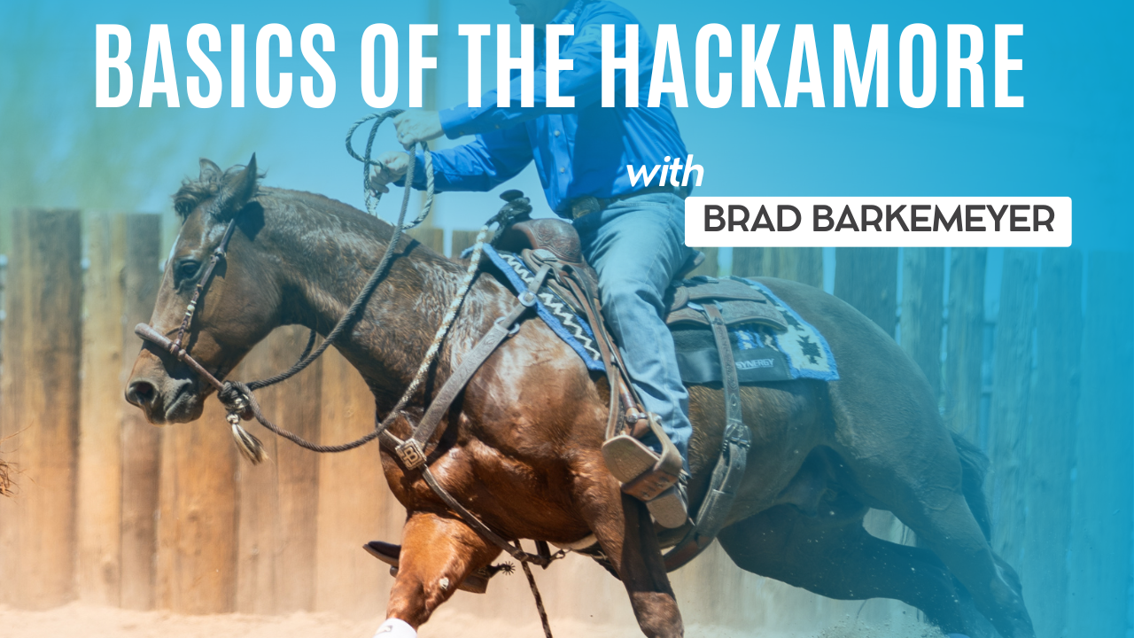 Basics of the Hackamore