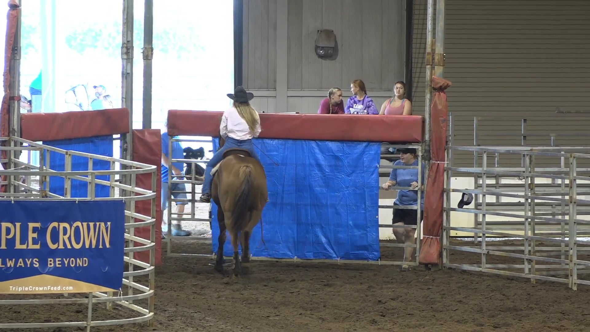 2019 NBHA GA Op1 #391-395