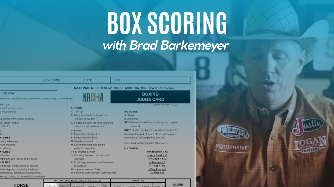 Boxing Scoring