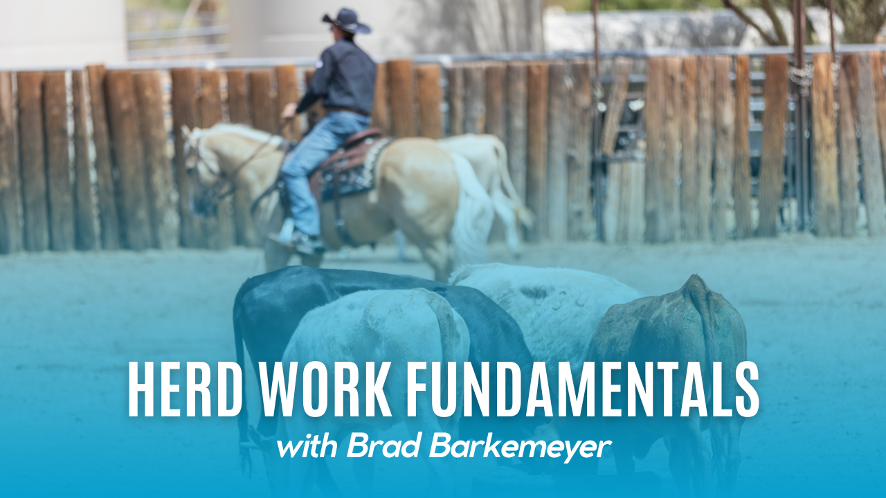 Herd Work Fundamentals