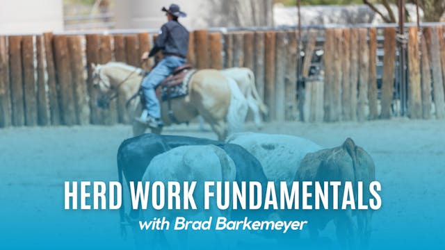 Herd Work Fundamentals