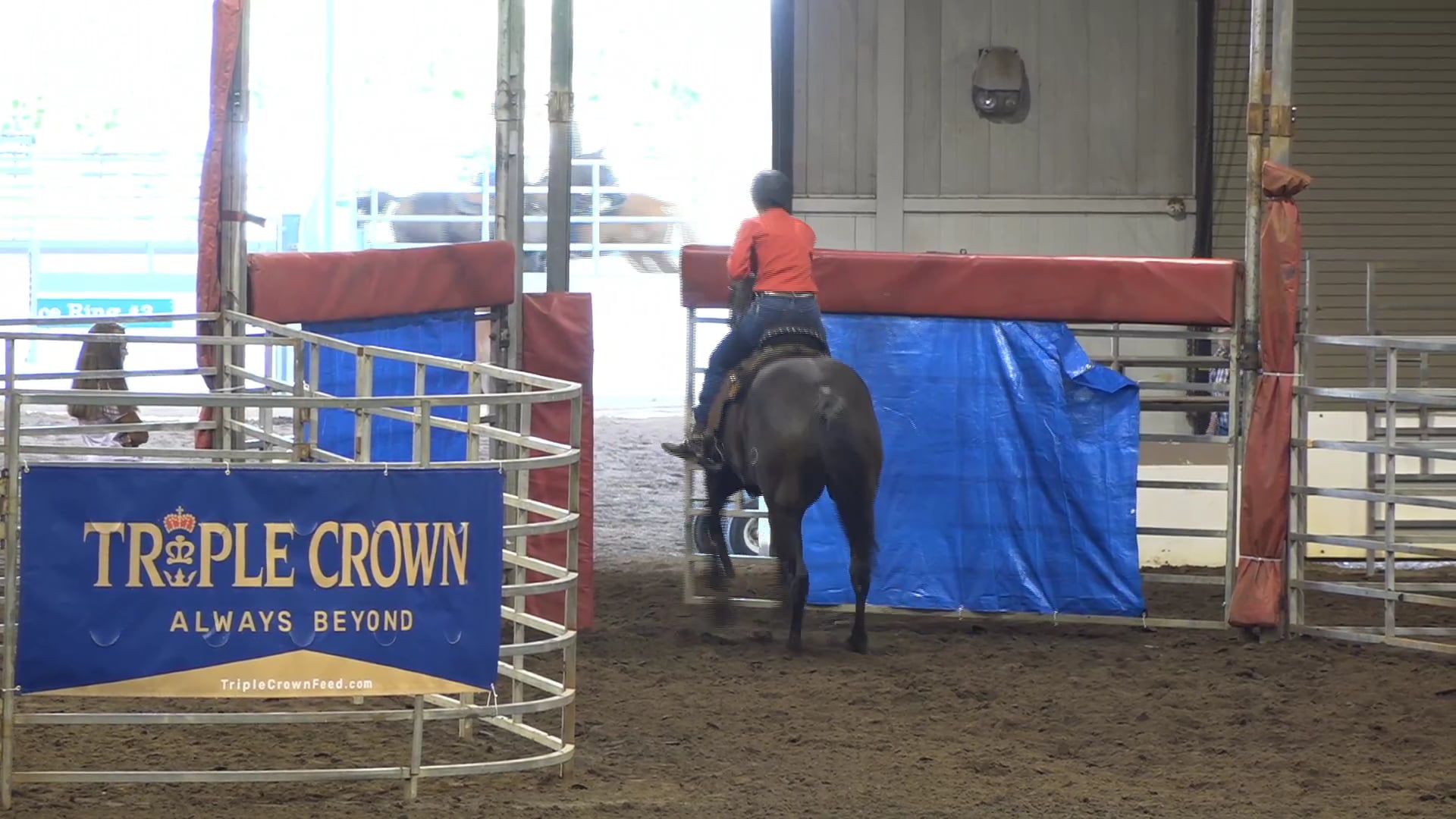 2019 NBHA GA Op1 #196-200