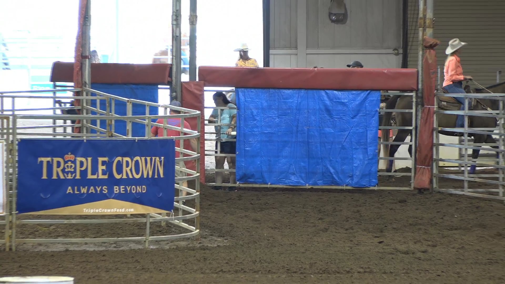 2019 NBHA GA Op2 #255-251