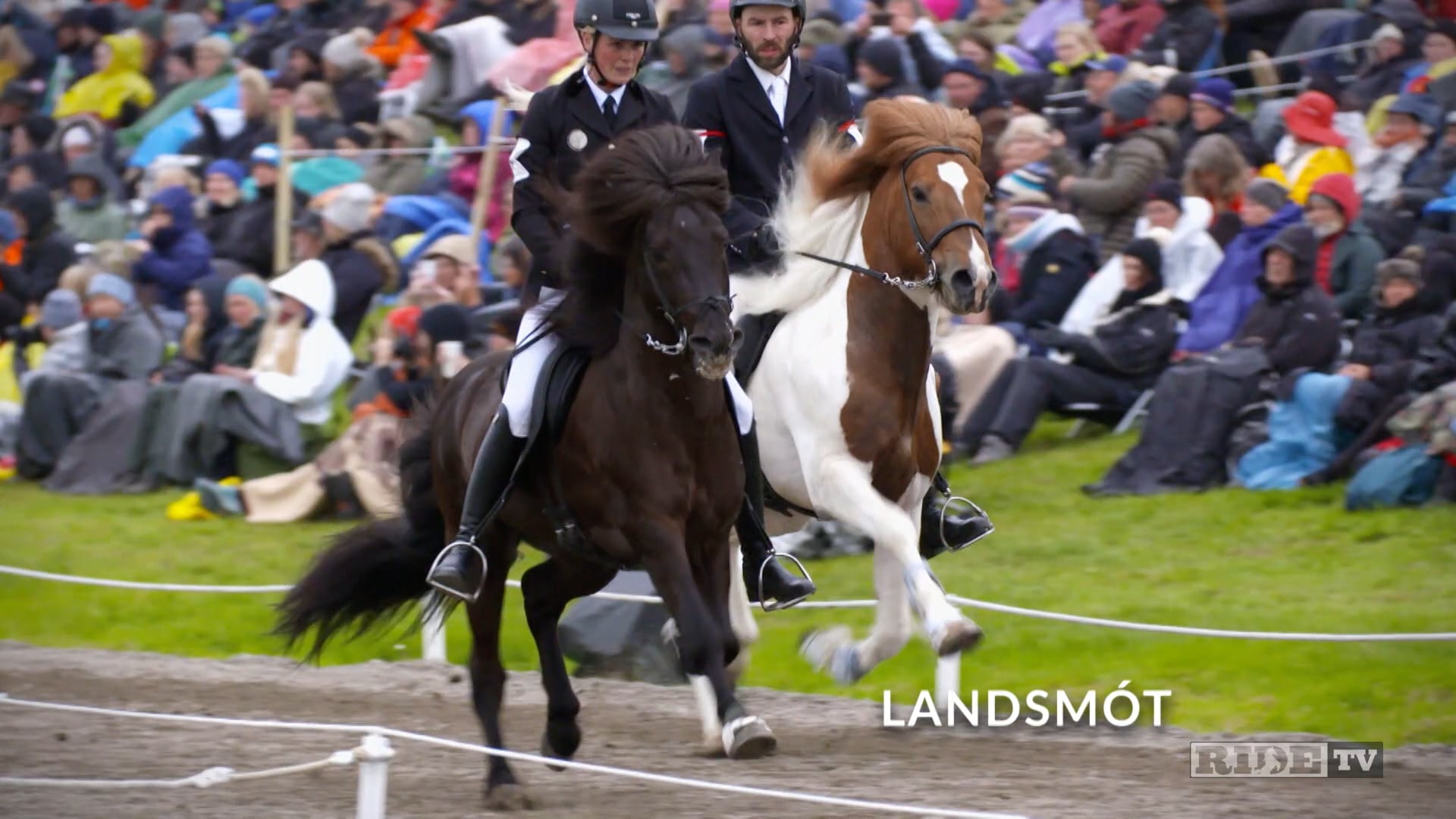Equestrian World Shorts- Iceland-Landsmot