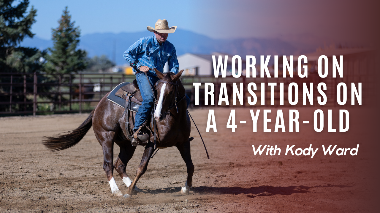 Working on Transitions on a 4-Year-Old