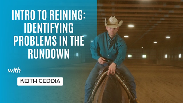 Intro to Reining: Identifying Problems in the Rundown