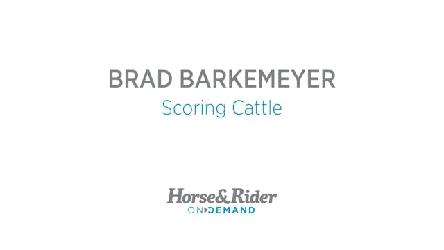 Scoring Cattle